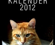 Katzen in Not eV Bonn Kalender 2012 Kalender 2012 der Katzen in Not eV Bonn Bestellungen können Sie...