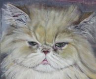 Die Katzenmalerin Ulla Schönhense www.die-katzenmalerin.de...