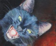 Die Katzenmalerin Ulla Schönhense ...