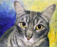 Die Katzenmalerin Ulla Schönhense www.die-katzenmalerin.de...