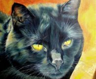 Ulla Schönhense – Die Katzenmalerin www.die-katzenmalerin.de www.katzenundkunst.de