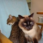 DSC00636