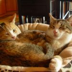 Lola_&_Stavros2 Lola_&_Stavros2