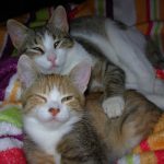 Lola_&_Stavros4 Lola_&_Stavros4