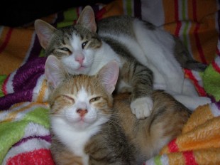 Lola_&_Stavros4