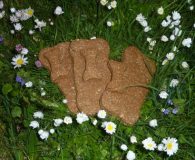 Hundekekse zu Gunsten Kretapfötchen An alle Hundebesitzer...