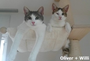 Oliver + Willi_0003