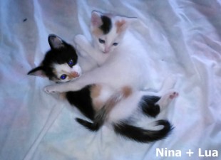 Nina + Lua_0001
